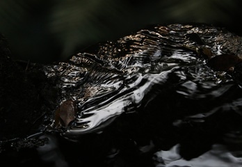 Ripples